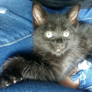 Meet your Posher, Sara